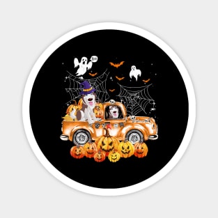 Husky Dog On Pumpkins Truck Autumn Halloween Magnet